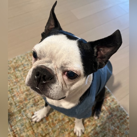 Meet your Posher, Andi Soto Design - Picture 4 of 7